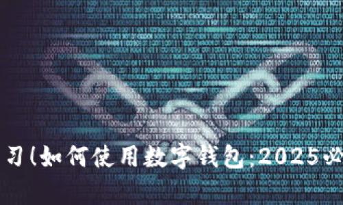 立即学习！如何使用数字钱包：2025必看指南