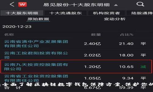 2025必看：全面了解区块链数字钱包保障方案，保护你的资产安全！