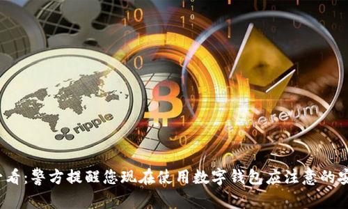 2025必看：警方提醒您现在使用数字钱包应注意的安全技巧