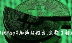 2025必看：比特派（BitPay）加油站推出，立即了解