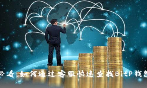 2025必看：如何通过客服快速查找BitP钱包账号？
