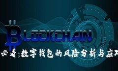 2025必看：数字钱包的风险分析与应对策略