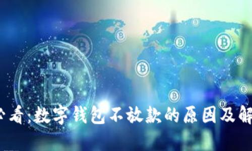 2025必看：数字钱包不放款的原因及解决方案