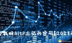 如何立即找回BitP忘记的密码？2025必看指南