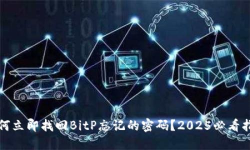 如何立即找回BitP忘记的密码？2025必看指南