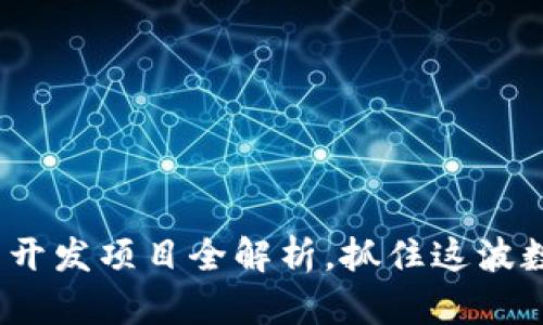 2025必看：区块链钱包开发项目全解析，抓住这波数字金融热潮立即行动！