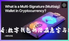 2025必看：数字钱包的潜在危害与安全隐患