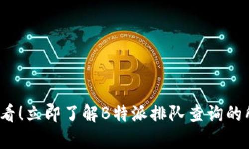 2025必看！立即了解B特派排队查询的所有秘密