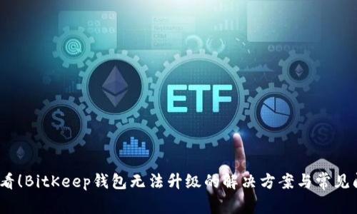 2025必看！BitKeep钱包无法升级的解决方案与常见问题解答