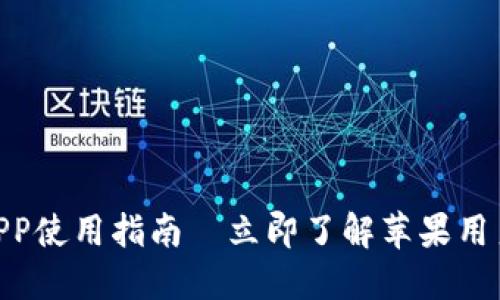 2025必看：比特派APP使用指南—立即了解苹果用户的安全性与易用性