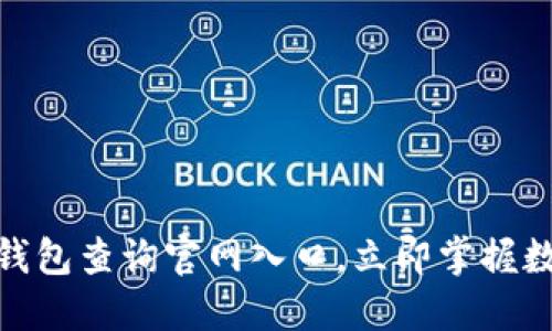 2025必看：区块链钱包查询官网入口，立即掌握数字货币的安全方法