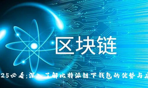 2025必看：深入了解比特派链下钱包的优势与应用