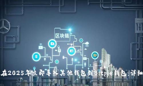 如何在2025年立即导入其他钱包到Bitpie钱包：详细指南