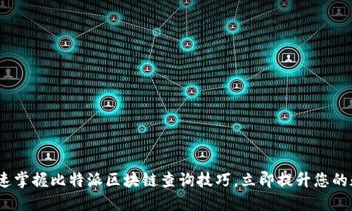 2025必看：如何快速掌握比特派区块链查询技巧，立即提升您的数字资产管理能力！