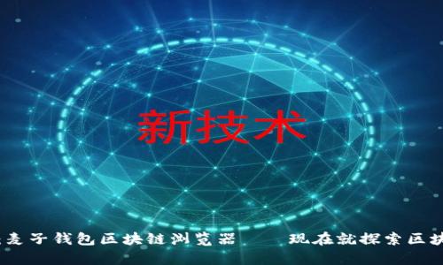 2025必看：麦子钱包区块链浏览器——现在就探索区块链的奥秘！