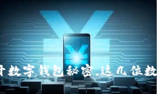 2025必看：揭开数字钱包秘密，这几位数让你高枕无忧！