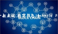 数字钱包的支付金额因多个因素而异，包括但不