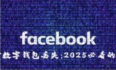 如何应对数字钱包丢失：2025必看的应急指南