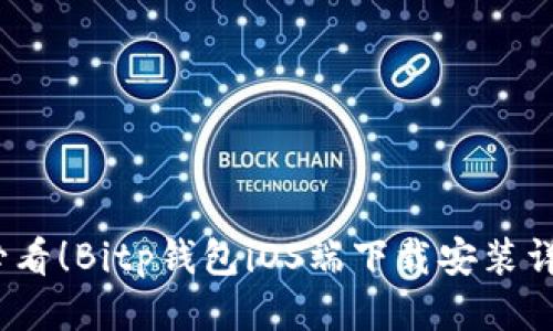 2025必看！Bitp钱包iOS端下载安装详细教程