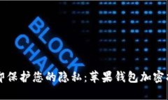 立即保护您的隐私：苹果钱包加密指南