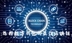 2025必看：选择数字钱包的最佳区块链，立即了解