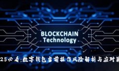 2025必看：数字钱包当前操作风险解析与应对策略