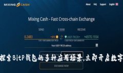 2025必看：探索BitP钱包的多种应用场景，立即开启