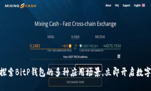 2025必看：探索BitP钱包的多种应用场景，立即开启数字货币新时代