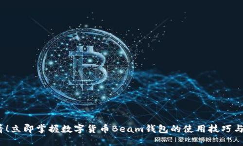 2025必看！立即掌握数字货币Beam钱包的使用技巧与安全策略