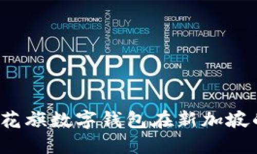 立即了解：花旗数字钱包在新加坡的全面指南