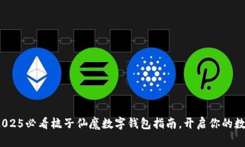 立即下载！2025必看梳子仙魔数字钱包指南，开启你的数字资产时代