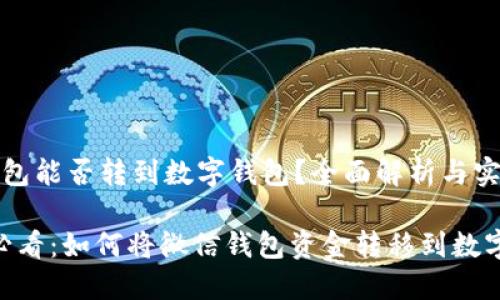 微信钱包能否转到数字钱包？全面解析与实用指南

2025必看：如何将微信钱包资金转移到数字钱包？