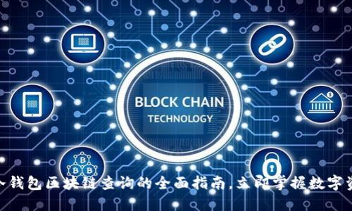 2025必看：冷钱包区块链查询的全面指南，立即掌握数字资产安全技巧