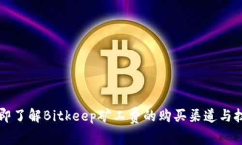立即了解Bitkeep矿工费的购买渠道与技巧