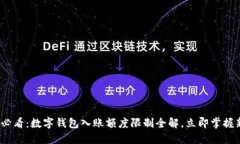 2025必看：数字钱包入账额度限制全解，立即掌握