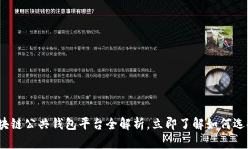2025必看：区块链公共钱包平台全解析，立即了解如何选择安全的钱包！