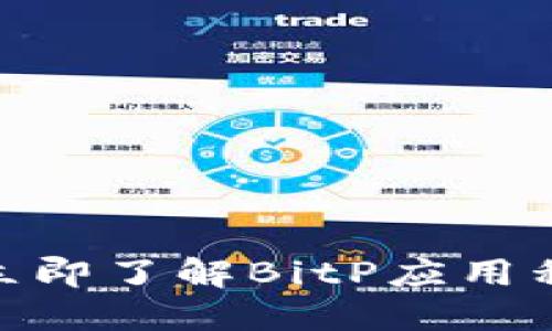 2023年必看！立即了解BitP应用程序的全面指南