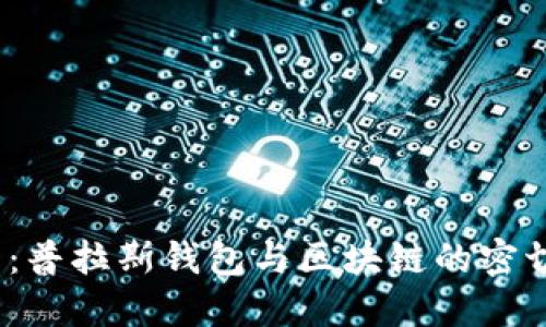 2025必看：普拉斯钱包与区块链的密切关系揭秘