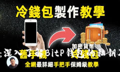 2025必看：深入了解BitP钱包的私钥及其重要性
