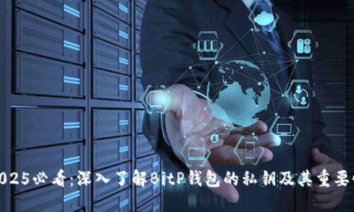 2025必看：深入了解BitP钱包的私钥及其重要性