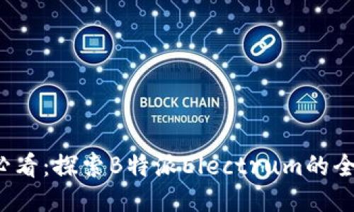 2025必看：探索B特派Electrum的全面指南