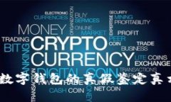 2025必看：揭开DCEP数字钱包的真假鉴定真相，确保