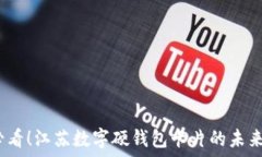   2025必看！江苏数字硬钱包卡片的未来与发展