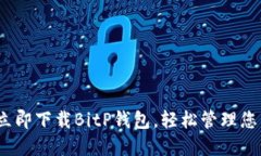 2025必看：立即下载BitP钱包，轻松管理您的数字资