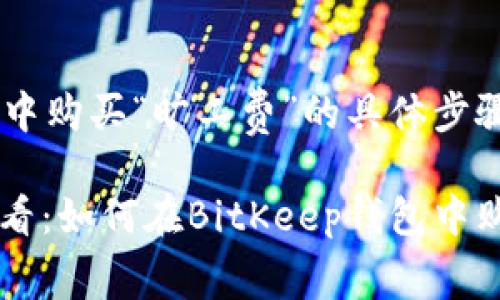 在BitKeep钱包中购买“旷工费”的具体步骤可以归纳如下：

### 2025必看：如何在BitKeep钱包中购买旷工费