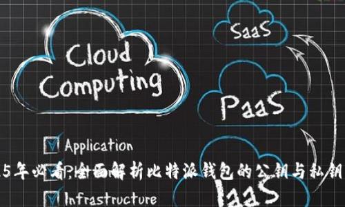 2025年必看：全面解析比特派钱包的公钥与私钥知识