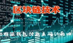 立即解决：B特派钱包付款未确认的四种处理方法