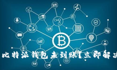 2025必看：比特派钱包未到账？立即解决你的问题！