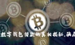 2025必看！数字钱包借款的真相揭秘，骗局还是方