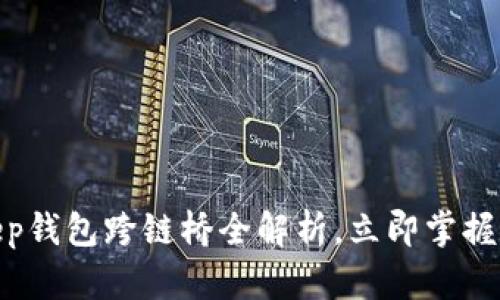 2023年必看：BitKeep钱包跨链桥全解析，立即掌握数字资产转移新风潮